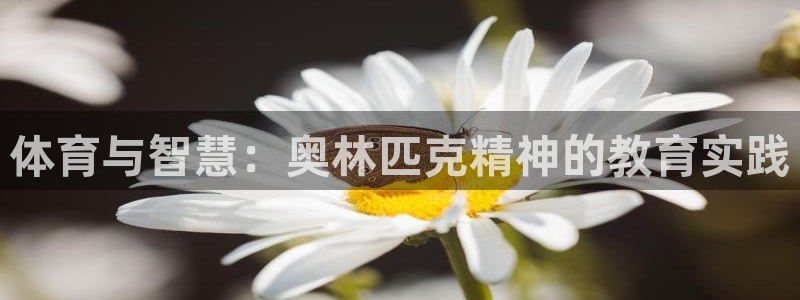 必一运动体育官网入口