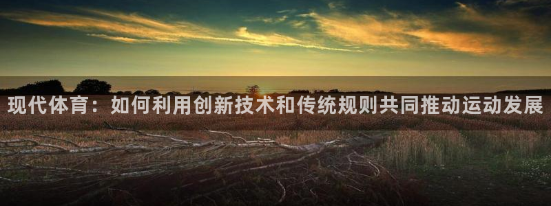 必一运动体育官网入口
