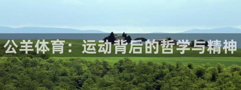 必一运动体育官网