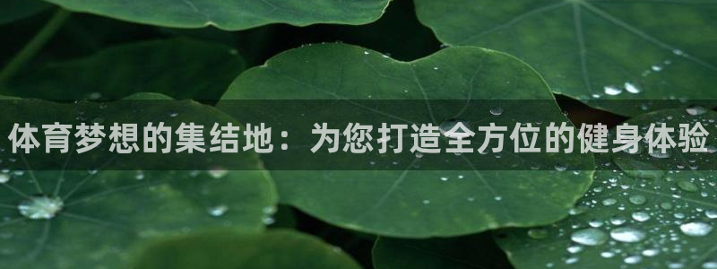 bsports官网 必一运动