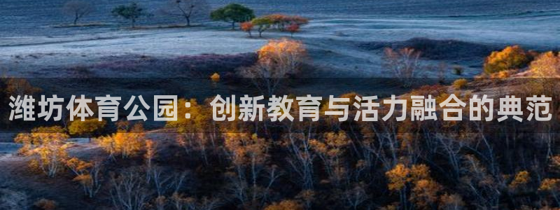 必一运动
