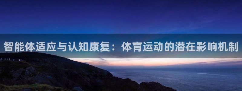 必一运动体育官网