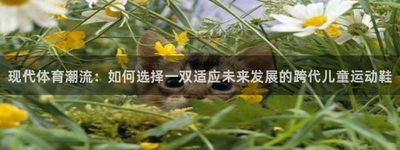bsports官网 必一运动