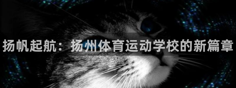 bsports官网 必一运动