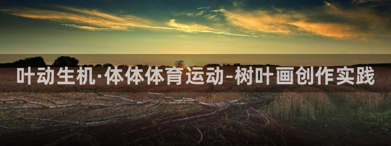 b体育必一运动官网