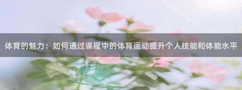 必一运动体育官网入口