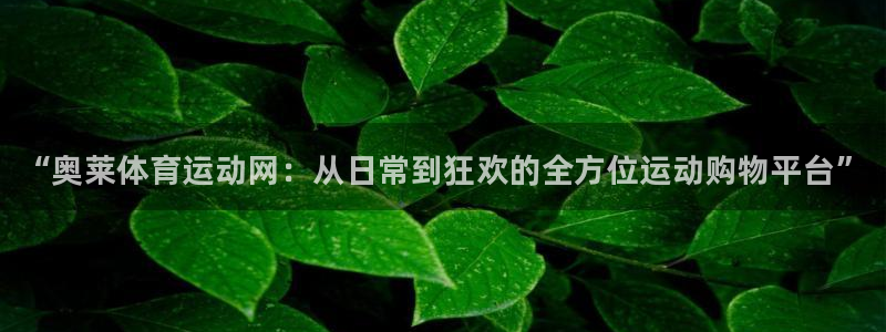 必一运动bsport体育
