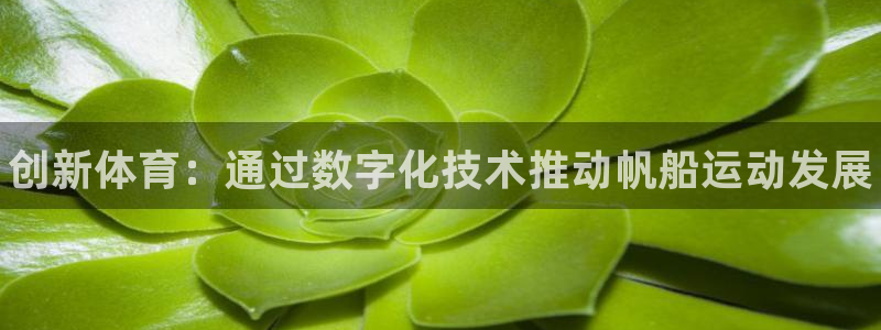 必一运动体育官网