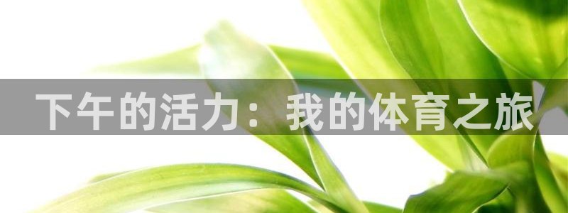必一运动bsport体育