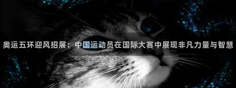 bsport必一运动