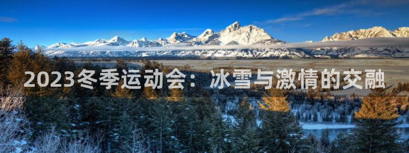 bsport必一运动