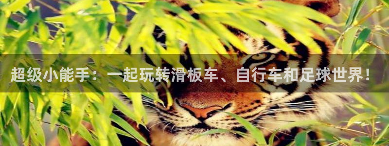 必一运动体育官网入口