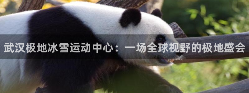 必一运动体育官网入口