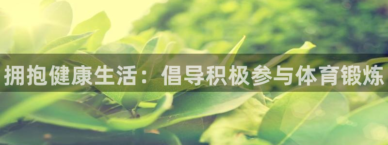 必一运动bsport体育