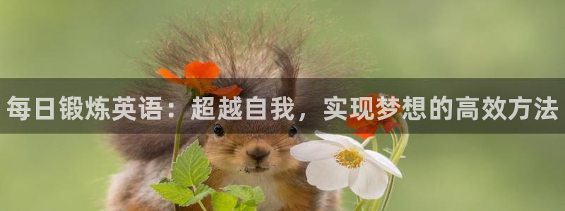 bsports必一运动