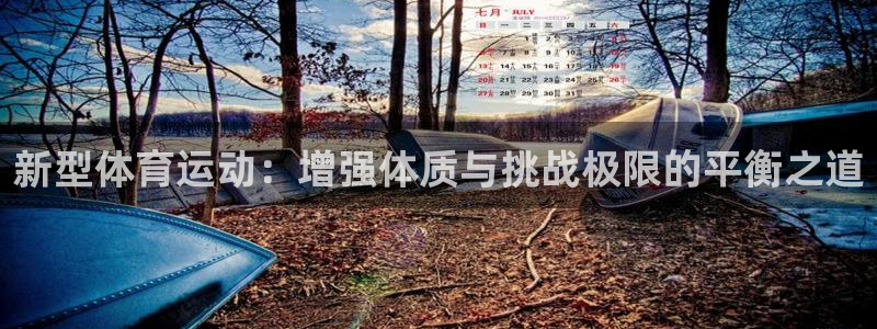 必一运动体育官网入口