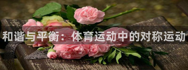 必一运动官网